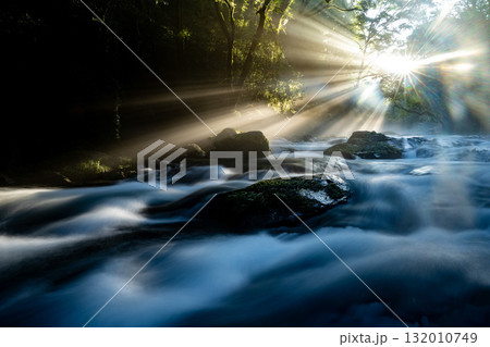 光さす菊池渓谷 熊本 光さす菊池渓谷 熊本 132010749