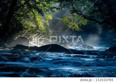 光さす菊池渓谷 熊本 光さす菊池渓谷 熊本 132010769