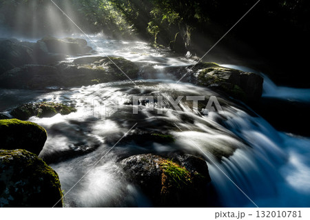 光さす菊池渓谷　熊本 132010781