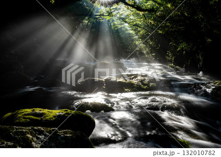 光さす菊池渓谷　熊本 132010782
