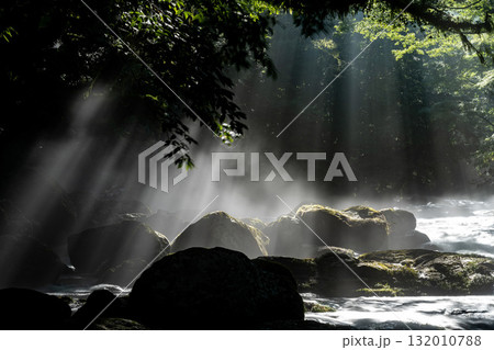 光さす菊池渓谷　熊本 132010788