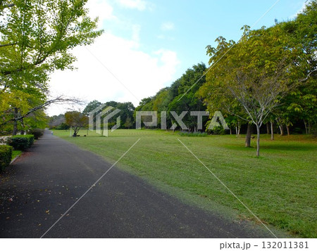 秋の秩父ミュ－ズパ－ク 132011381