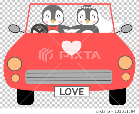 Penguin bride and groom in a red car 132011394