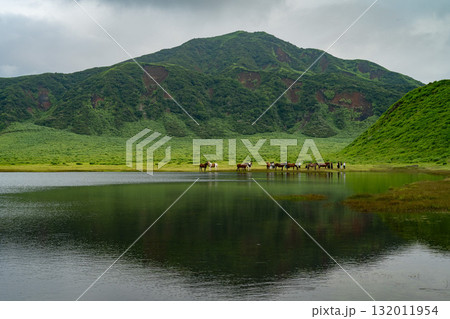 阿蘇の牧歌的な風景　熊本 132011954