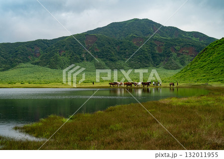 阿蘇の牧歌的な風景　熊本 132011955