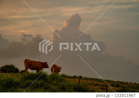 阿蘇の牧歌的な風景 熊本 阿蘇の牧歌的な風景 熊本 132011967