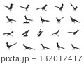Roadrunner svg, Greater roadrunner silhouette, Greater roadrunner svg, Roadrunner bird silhouette, Roadrunner drawing. 132012417
