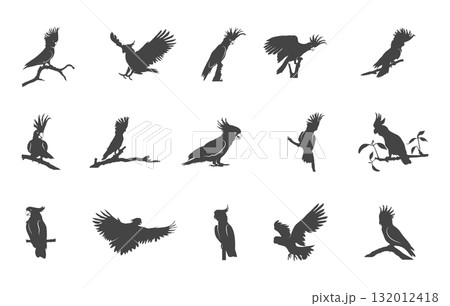Cockatoo svg, Cockatoo silhouette, Cockatoo birds drawing, Cockatoo parrot svg, Cockatoo vector, Cockatoo drawing. 132012418