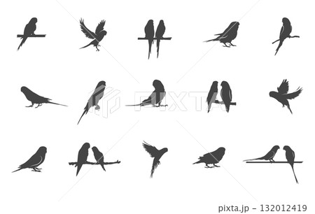 Budgerigar birds silhouette, Budgerigar birds svg, Budgie svg, Parakeet silhouette, Budgerigar vectors, Budgerigar birds clipart. 132012419