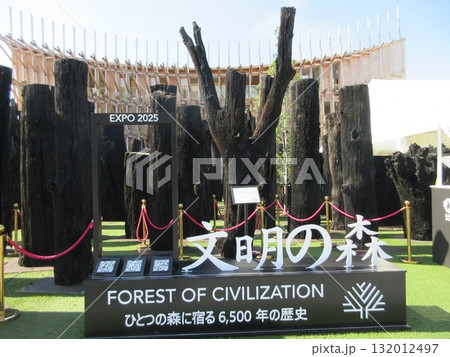 関西万博 文明の森 関西万博 文明の森 132012497
