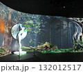 関西万博　ベルギー　パビリオン館内展示 132012517