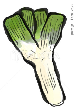 下仁田葱の水墨画風イラスト 下仁田葱の水墨画風イラスト 132012579