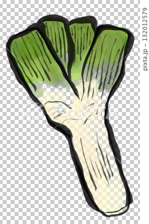 下仁田葱の水墨画風イラスト 下仁田葱の水墨画風イラスト 132012579