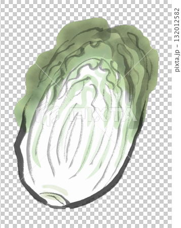 白菜の水墨画風イラスト 132012582