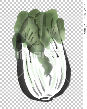 白菜の水墨画風イラストのイラスト素材 [132012583] - PIXTA