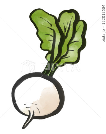 かぶの水墨画風イラスト 132012584