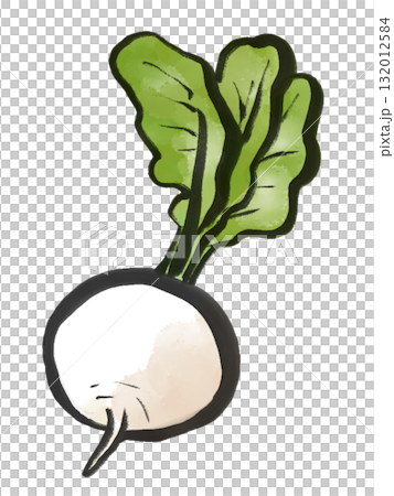 かぶの水墨画風イラスト 132012584