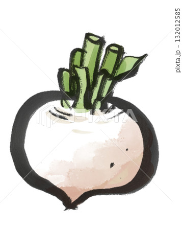 かぶの水墨画風イラスト かぶの水墨画風イラスト 132012585