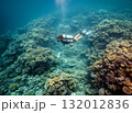 A scuba diver explores a vibrant coral reef, surrounded by colorful marine life in the crystal-clear ocean 132012836