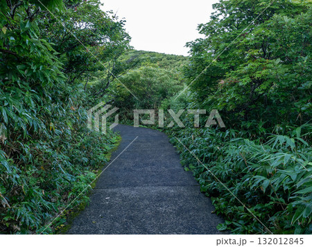 日本百名山を登る 山形 鳥海山 新山 日本百名山を登る 山形 鳥海山 新山 132012845