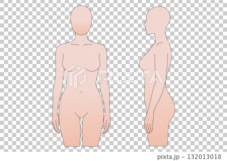 Female mannequin body line illustration Female mannequin body line illustration 132013018