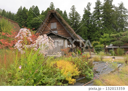 初秋の白川郷 132013359