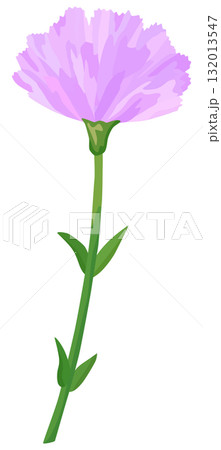 一輪のカーネーションのイラスト 紫色 ベクター素材 132013547