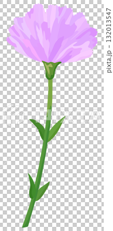 一輪のカーネーションのイラスト 紫色 ベクター素材 132013547