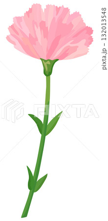 一輪のカーネーションのイラスト ピンク色 ベクター素材 132013548