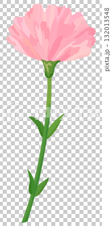 一輪のカーネーションのイラスト ピンク色 ベクター素材 132013548