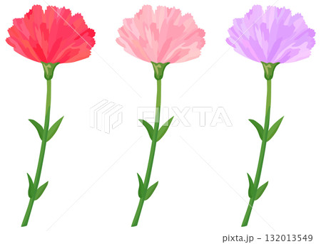 カーネーションのイラストセット 赤・ピンク・紫 ベクター素材 132013549