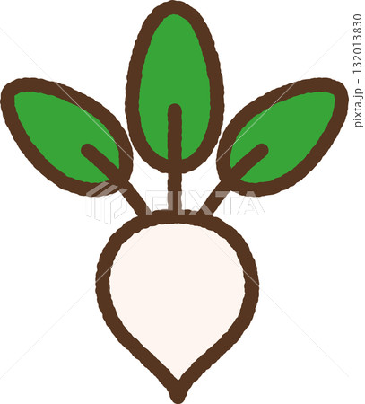 野菜のシンプルなイラスト　カブ 132013830