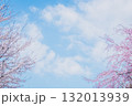 青空と桜の広がる春の風景 132013939