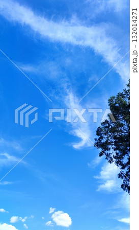 青空 132014271