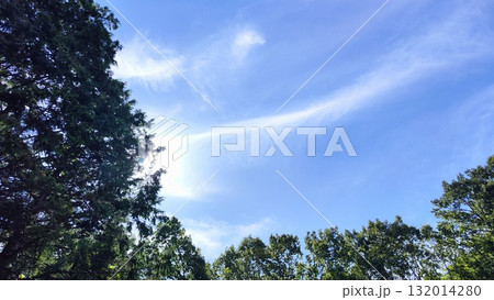 青空 青空 132014280