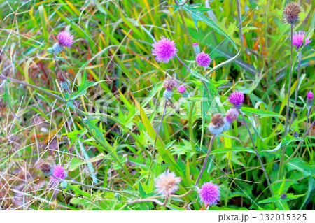 11月の信州青木村の風景　　　信州の風景 132015325
