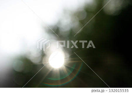 太陽の光 132015535