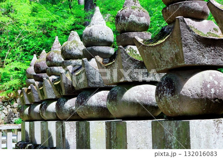 松本の玄向寺　　　信州の神社仏閣 132016083