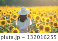 ひまわり畑を歩く女性の後ろ姿 132016255