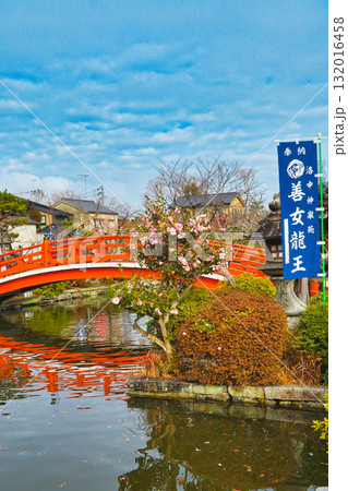 京都 神泉苑 法成橋(京都府京都市中京区) 京都 神泉苑 法成橋(京都府京都市中京区) 132016458