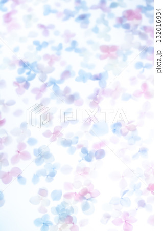 背景素材・紫陽花のドライフラワー 132016934