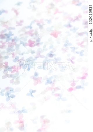 背景素材・紫陽花のドライフラワー 132016935