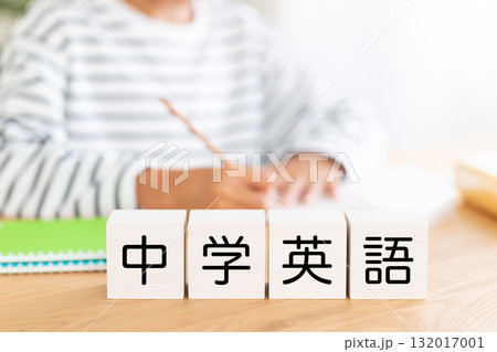 中学英語のブロックと勉強をする小学生の男の子 132017001