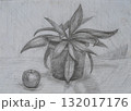 Still life featuring a potted plant and an apple on a table 132017176