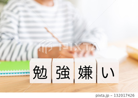 勉強嫌いのブロックと勉強をする小学生の男の子 132017426