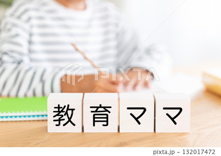 教育ママのブロックと勉強をする小学生の男の子 132017472