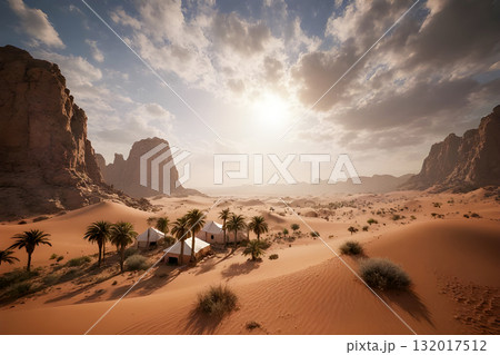 sunset in desert 132017512