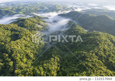 Landscape of Morning Mist with Mountain Layer. mountain ridge and clouds in rural jungle bush forest Landscape of Morning Mist with Mountain Layer. mountain ridge and clouds in rural jungle bush forest 132017660