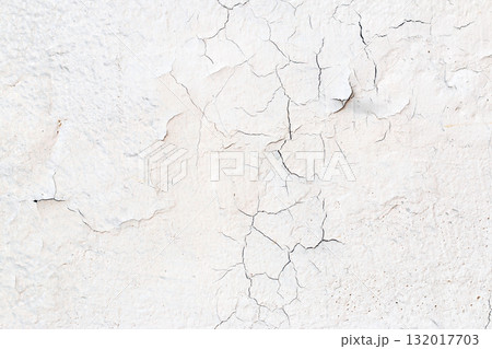 Light Gray Stucco Wall Texture. Abstract Background 132017703