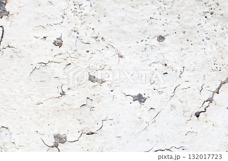 Light Gray Stucco Wall Texture. Abstract Background 132017723